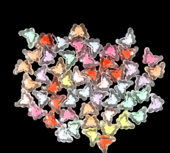Butterfly beads